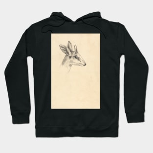 Antelope Head by Luigi Balugani. Hoodie